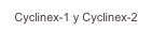 Cyclinex-1 y Cyclinex-2