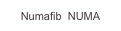 Numafib  NUMA