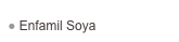  Enfamil Soya