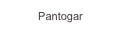 Pantogar